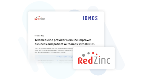 Red Zinc success story thumbnail featuring logo