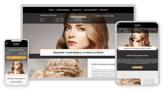 Website design service example estilista