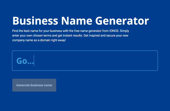 Business Name Generator enter business name