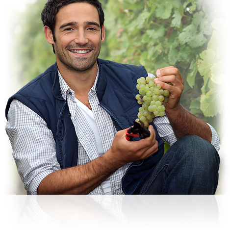 Per la tua cantina di vini